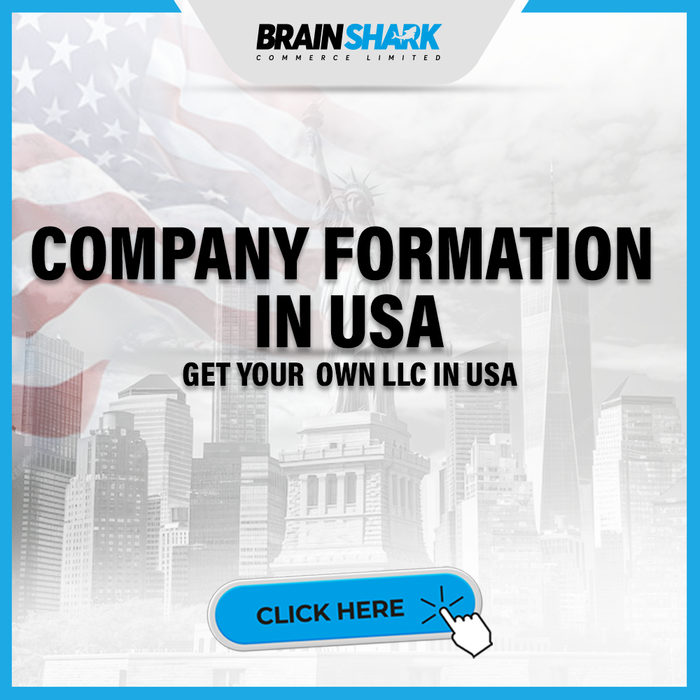 USA Company Formation Services