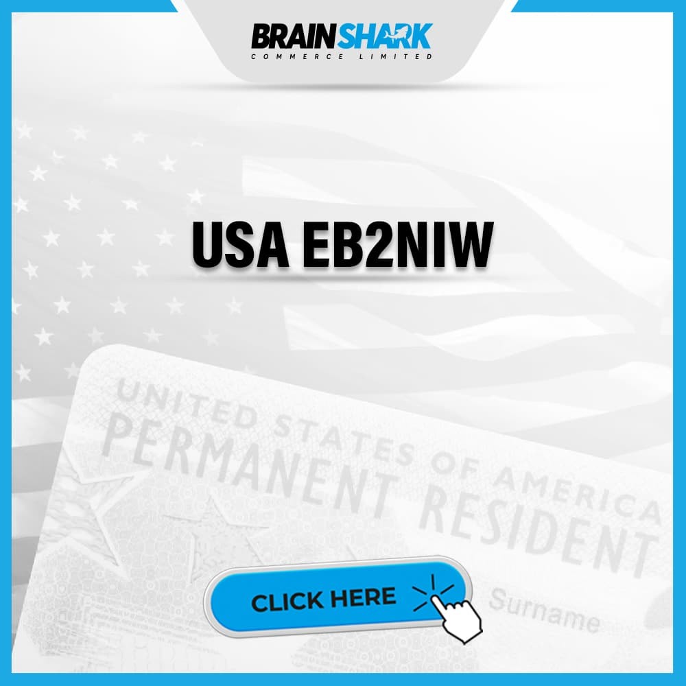 USA EB2NIW